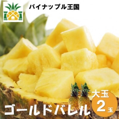 【2025年6月～7月頃の発送】パイナップルの王様 ゴールドバレル(大玉2玉)