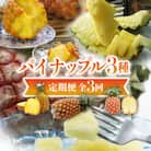 【発送月固定定期便】名護産パイナップル3種の定期便!全3回