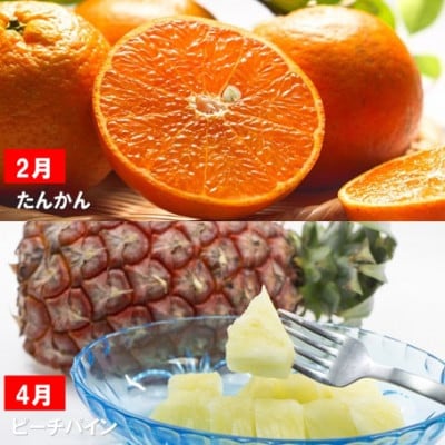 【発送月固定定期便】一番美味しい時期にお届け!旬の南国フルーツ定期便全6回