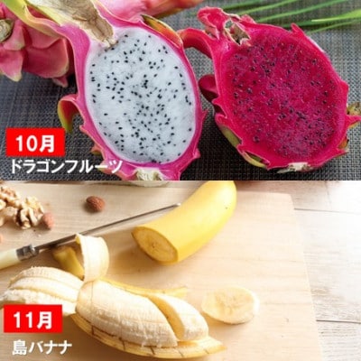【発送月固定定期便】一番美味しい時期にお届け!旬の南国フルーツ定期便全6回