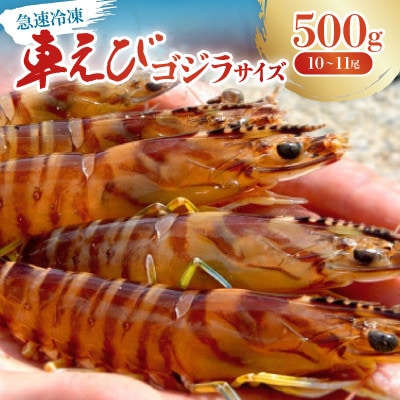 【養殖場から直送】急速冷凍車えび ゴジラサイズ 500g(10～11尾/500g×1P)