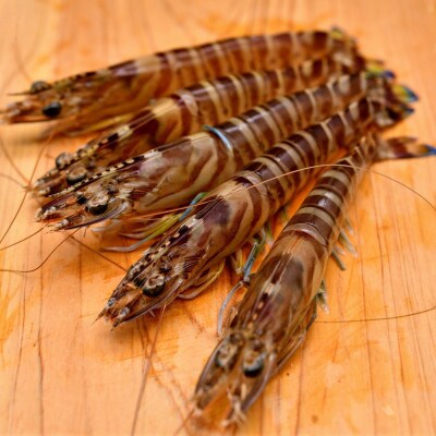 【養殖場から直送】急速冷凍車えび 大サイズ 4kg(136～168尾/500g×8P)
