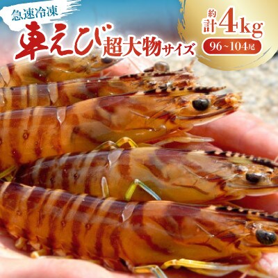 【養殖場から直送】急速冷凍車えび 超大物サイズ 約4kg(96～104尾/500g×8P)