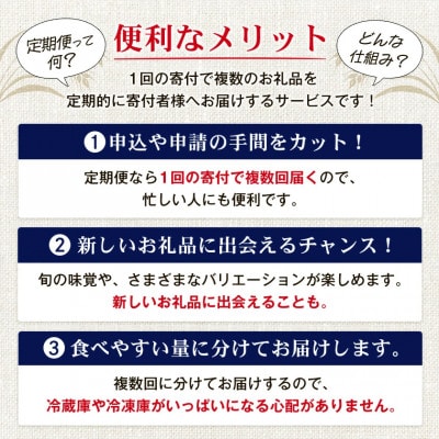 【毎月定期便】オリオンビール オリオン ザ・ドラフト(350ml×24本)全6回