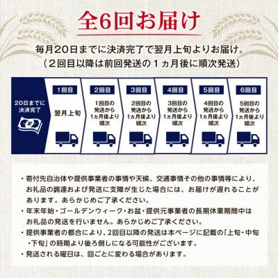 【毎月定期便】オリオンビール オリオン ザ・ドラフト(350ml×24本)全6回