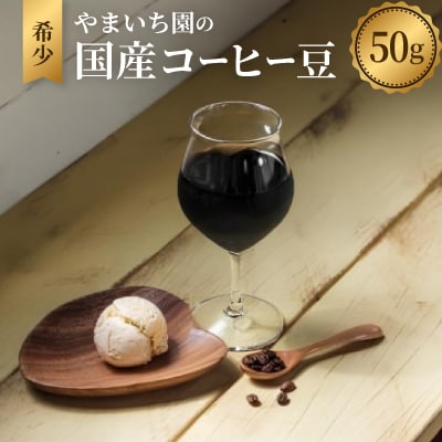 やまいち園の希少国産コーヒー豆 50g(カーボニックマセレーション精製)