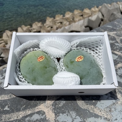 【2026年8月中旬から順次発送】やんばる物産センターから直送!幻のキーツマンゴー2kg(2～3玉)