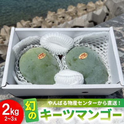 【2026年8月中旬から順次発送】やんばる物産センターから直送!幻のキーツマンゴー2kg(2～3玉)