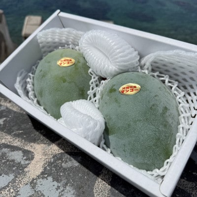 【2026年8月中旬から順次発送】やんばる物産センターから直送!幻のキーツマンゴー2kg(2～3玉)