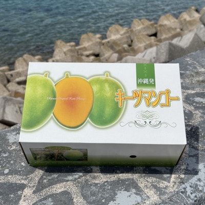 【2026年8月中旬から順次発送】やんばる物産センターから直送!幻のキーツマンゴー2kg(2～3玉)