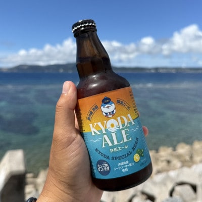 【許田エール・道の駅許田30周年記念】勝山シークヮーサー使用した特別醸造IPAビール6本