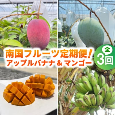 【発送月固定定期便】道の駅「許田」が厳選した南国フルーツ定期便!アップルバナナ&マンゴー2種全3回