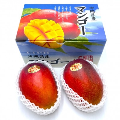 【発送月固定定期便】道の駅「許田」が厳選した南国フルーツ定期便!アップルバナナ&マンゴー2種全3回