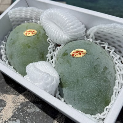 【発送月固定定期便】道の駅「許田」が厳選した南国フルーツ定期便!アップルバナナ&マンゴー2種全3回