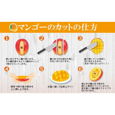 【2025年6月下旬～順次発送】【琉花ファーム】秀品!!アップルマンゴー2kg以上