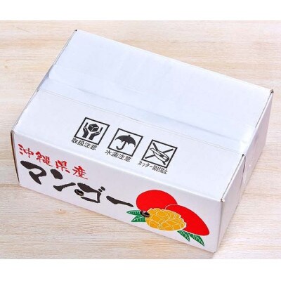 【2025年6月下旬～順次発送】【琉花ファーム】優品!アップルマンゴー　2kg以上