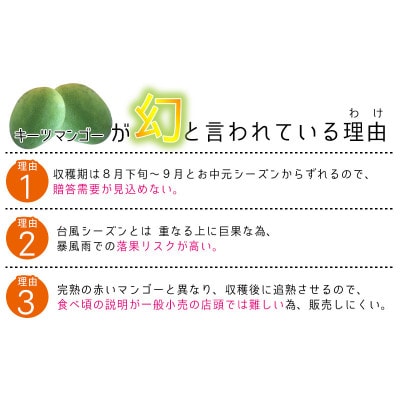 【2025年8月中旬～順次発送】【琉花ファーム】秀品!!キーツマンゴー　1kg以上