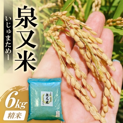 泉又米(いじゅまためー) 精米 6kg