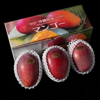 【2025年6月～7月頃の発送予定・秀品】ココミラファームのアップルマンゴー1kg(2～3玉)