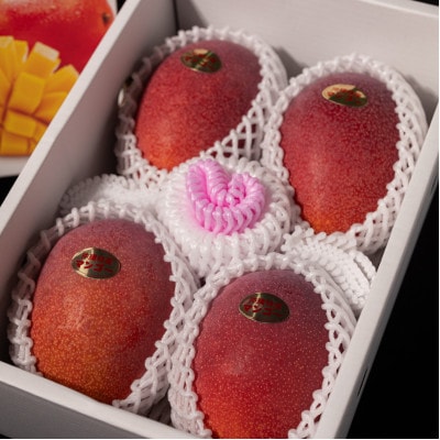 【2025年6月～7月頃の発送予定・優品】ココミラファームのアップルマンゴー2kg(4～6玉)