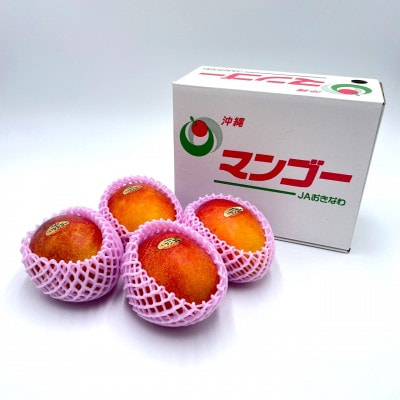 【2025年発送・訳あり】名護市産の完熟アップルマンゴー約1kg(2～4玉)