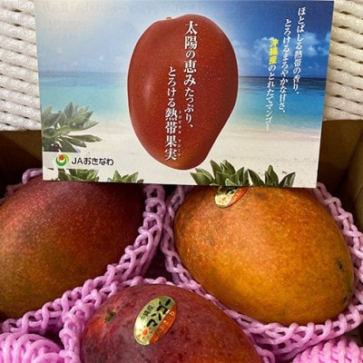 【2025年発送・訳あり】名護市産の完熟アップルマンゴー約1kg(2～4玉)