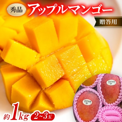 【2026年7月上旬から順次発送・贈答用】秀品アップルマンゴー約1kg(2～3玉)