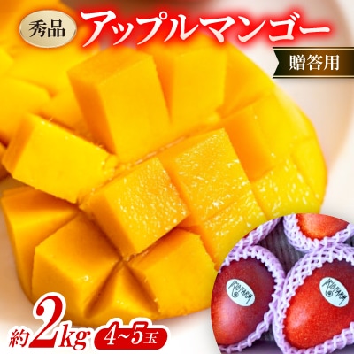 【2026年7月上旬から順次発送・贈答用】秀品アップルマンゴー約2kg(4～5玉)