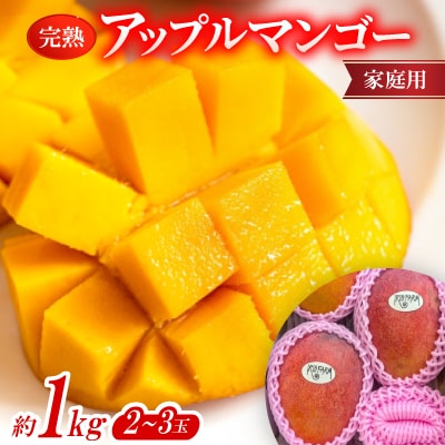 【2026年7月上旬から順次発送・家庭用】完熟アップルマンゴー約1kg(2～3玉)