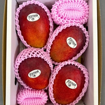 �y2026�N7����{���珇�������E�ƒ�p�z���n�A�b�v���}���S�[��2kg(3�`5��)