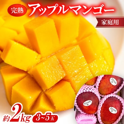 【2026年7月上旬から順次発送・家庭用】完熟アップルマンゴー約2kg(3～5玉)