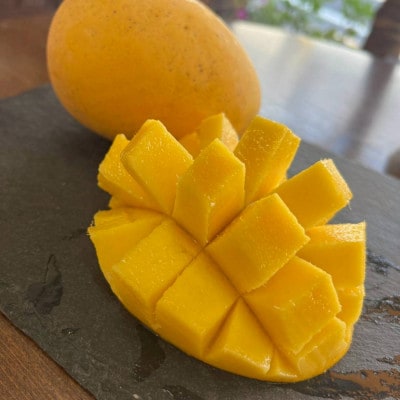 �y2026�N7�����{���珇�������E�����p�z���x20�x�����̊󏭕i��!�����}���S�[1kg(2�`3��)