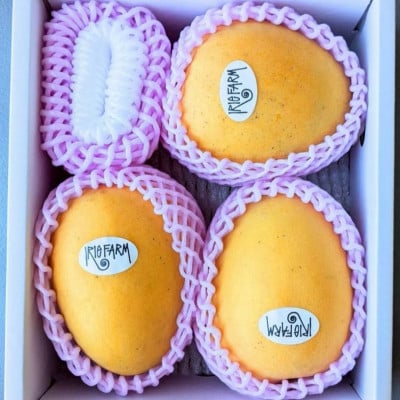 【2026年7月中旬から順次発送・贈答用】糖度20度超えの希少品種!金蜜マンゴー2kg(4～6玉)