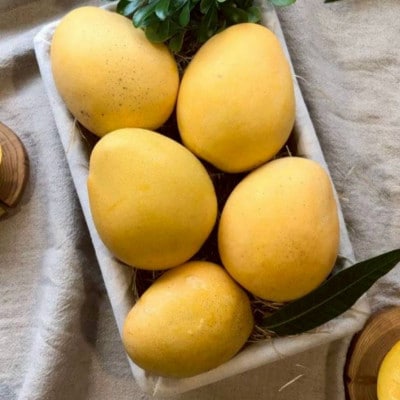 【2026年7月中旬から順次発送・贈答用】糖度20度超えの希少品種!金蜜マンゴー2kg(4～6玉)