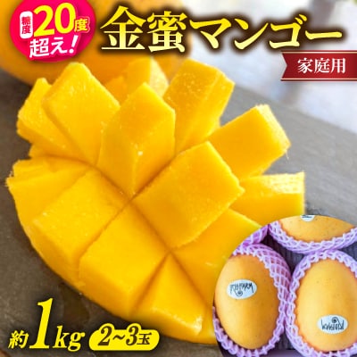 【2026年7月中旬から順次発送・家庭用】糖度20度超えの希少品種!金蜜マンゴー1kg(2～3玉)
