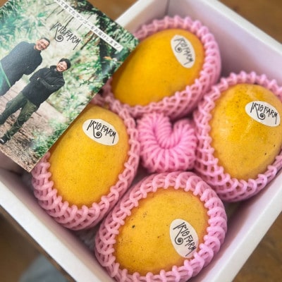 【2026年7月中旬から順次発送・家庭用】糖度20度超えの希少品種!金蜜マンゴー2kg(4～6玉)