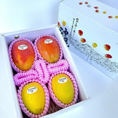 【2027年7月中旬から順次発送・家庭用】アップルマンゴー&金蜜マンゴー計2kg(4～6玉)