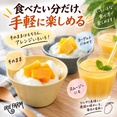 【冷凍】IRIE FARMのアップルマンゴー500g(250g×2袋)