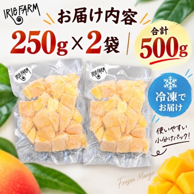 【冷凍】IRIE FARMのアップルマンゴー500g(250g×2袋)
