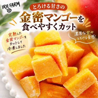 【冷凍】IRIE FARMの金蜜マンゴー500g(250g×2袋)