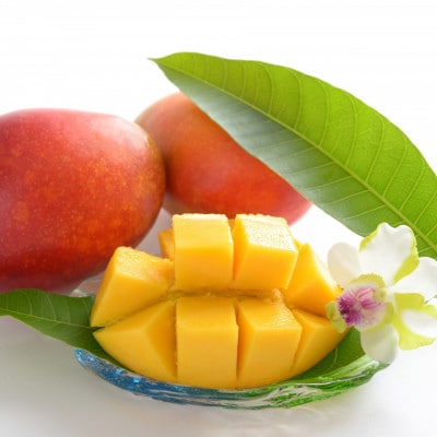 【2026年6月から順次発送・家庭用】又吉ファームの完熟アップルマンゴー約2kg(3～6玉)