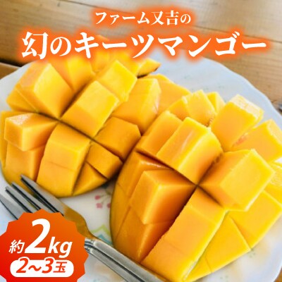【2026年8月から順次発送・家庭用】ファーム又吉の幻のキーツマンゴー約2kg(2～3玉)
