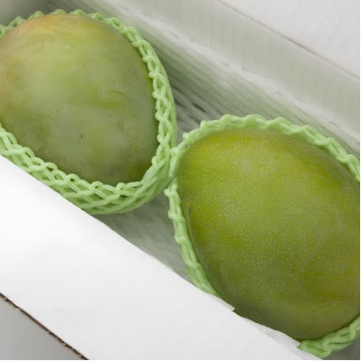 【2026年8月から順次発送・家庭用】ファーム又吉の幻のキーツマンゴー約2kg(2～3玉)