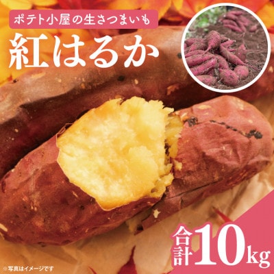 茨城県産　生さつまいも(紅はるか)　10kg