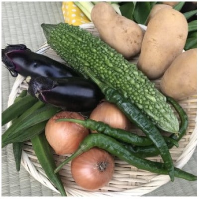 【ハーフサイズ】『身体が喜ぶ野菜』(季節の野菜おまかせ6～7品)