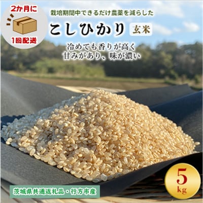 【2ヵ月毎定期便】栽培期間中できるだけ農薬を減らすこしひかり玄米5kg茨城県共通返礼品行方市産全6回
