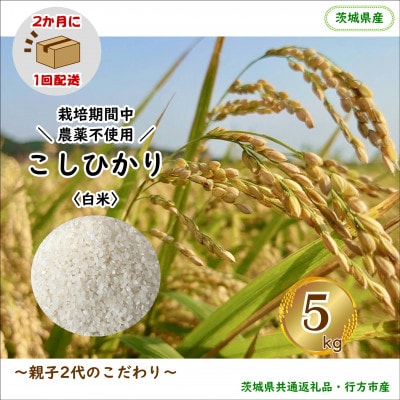 【2ヵ月毎定期便】【栽培期間中農薬不使用】こしひかり白米5kg茨城県共通返礼品・行方市産全6回