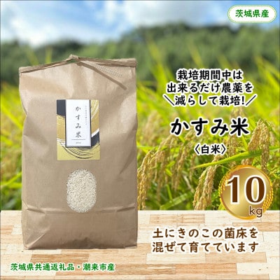 【毎月定期便】栽培期間中出来るだけ農薬を減らしたかすみ米精米10kg茨城県共通返礼品潮来市産全12回