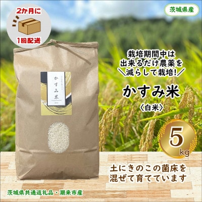 【2ヵ月毎定期便】栽培期間中出来るだけ農薬を減らしたかすみ米精米5kg茨城県共通返礼品潮来市産全6回