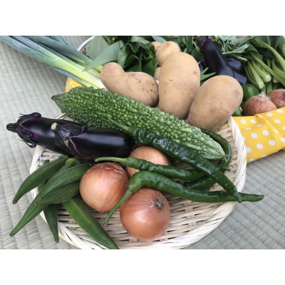 【発送月固定定期便】【ハーフサイズ】栽培期間中農薬不使用 身体が喜ぶ野菜(おまかせ6～7品)全10回